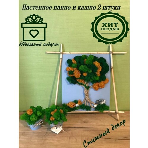 Панно и кашпо интерьерное из мха