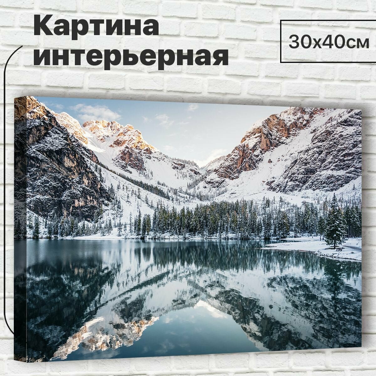 Картина для интерьера / Картина на стену 