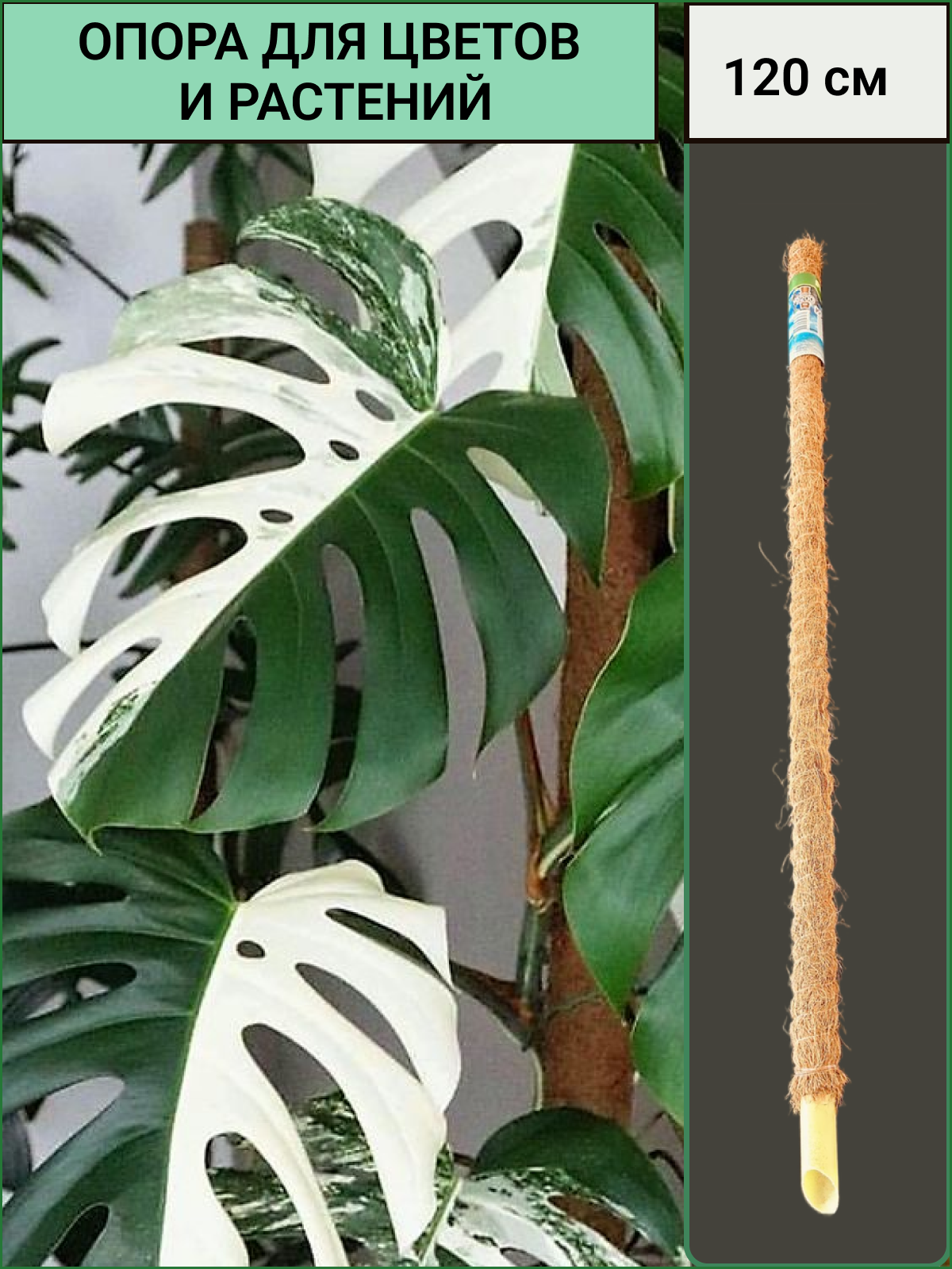 Опора кокосовая для растений 120 см - фотография № 1