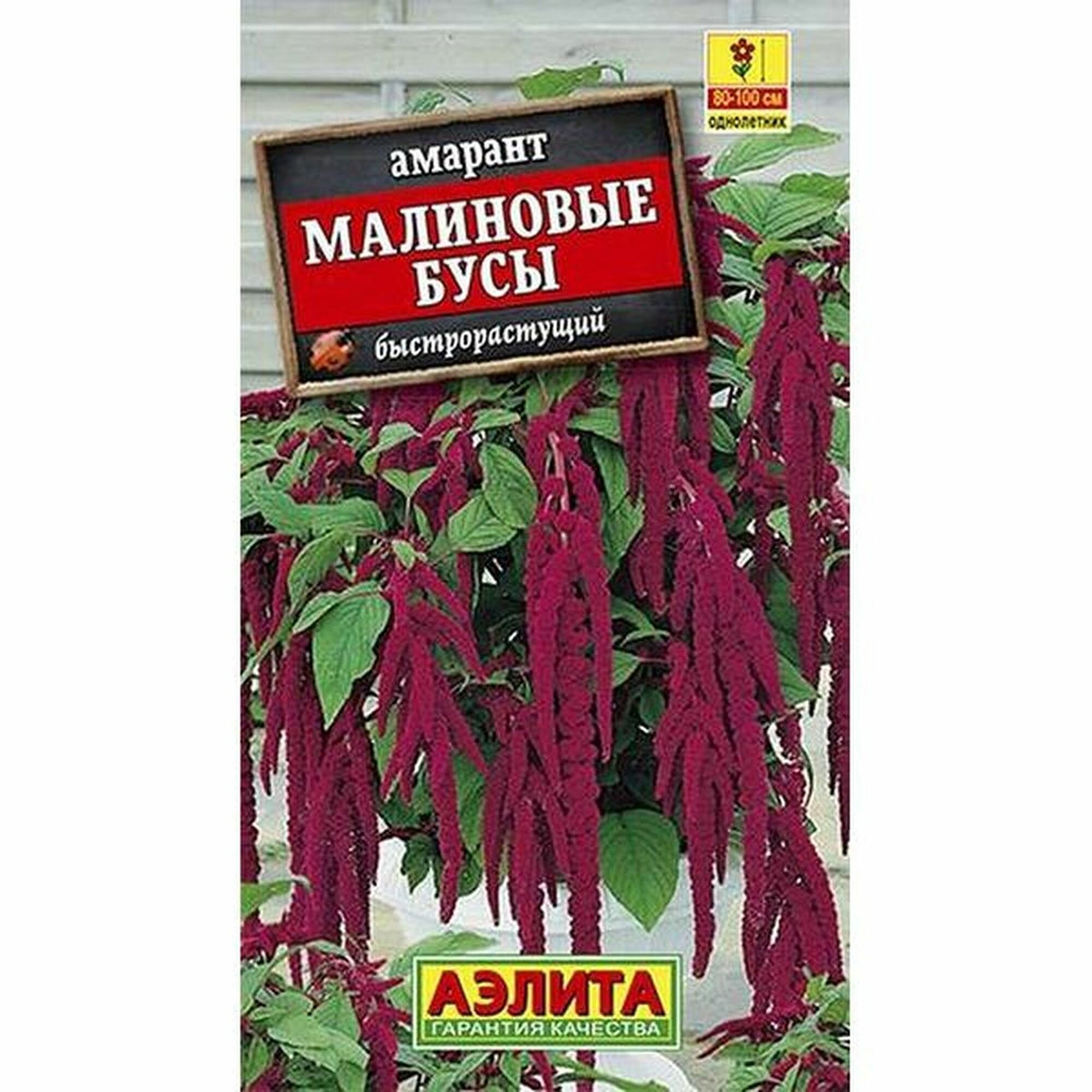 Семена Амарант Малиновые бусы однолетник Аэлита 1 пачка - 0.2г семян