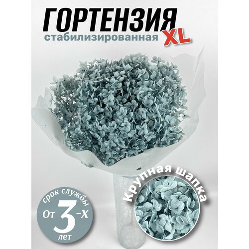 серый, графит