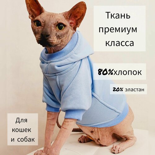 Толстовка с капюшоном для кошек и собак мелких пород (голубой)