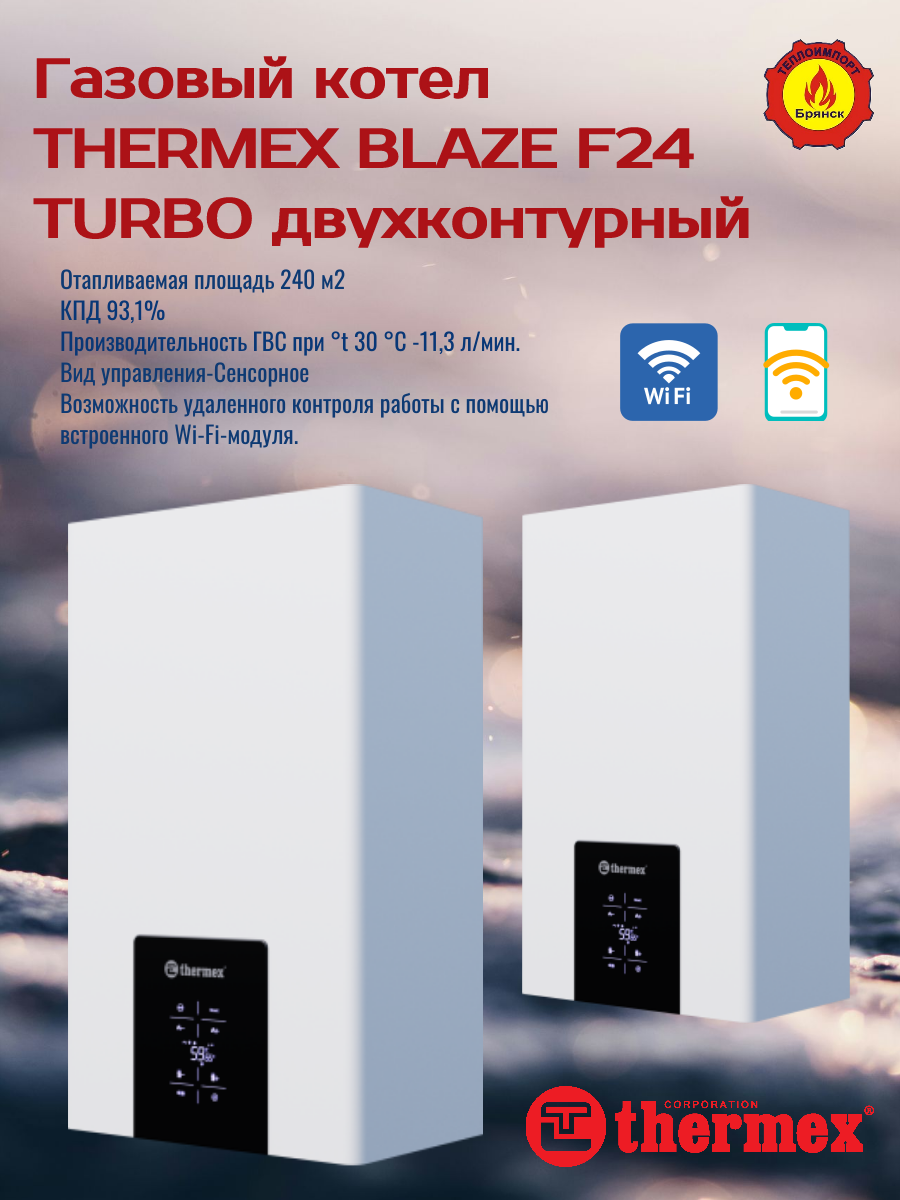 Газовый котел THERMEX BLAZE F24, Wi-Fi, двухконтурный, закрытая камера сгорания.