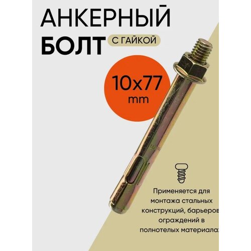 Анкерный болт с гайкой 10х77 (40 шт.)