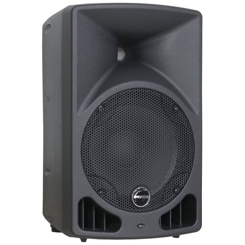 Активная акустическая система Invotone IPS 10LA 1669800₽
