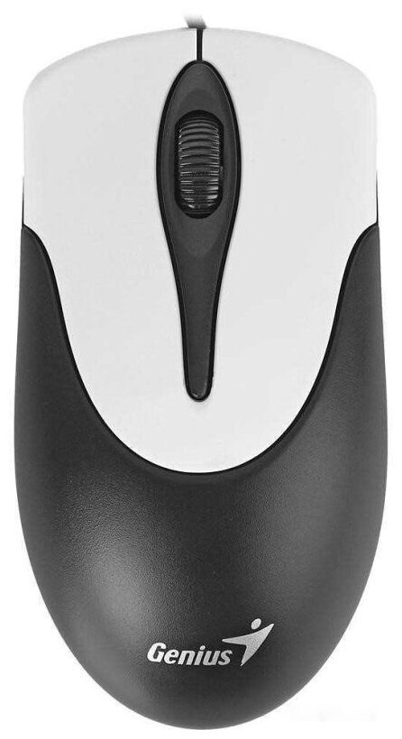 Genius Netscroll 100 V2 Black USB Мышь оптическая проводная 1000 DPI 31010001400 31010001401