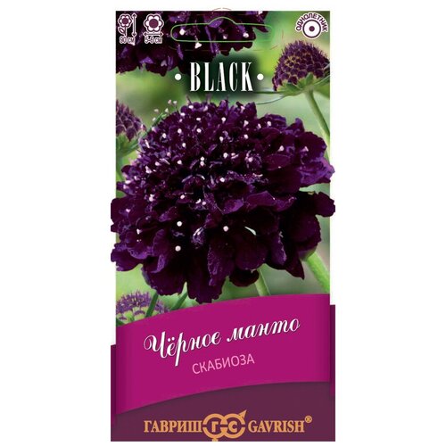 Гавриш, Скабиоза пурпурная Чёрное манто, махровые, серия Блэк 0,2 грамма
