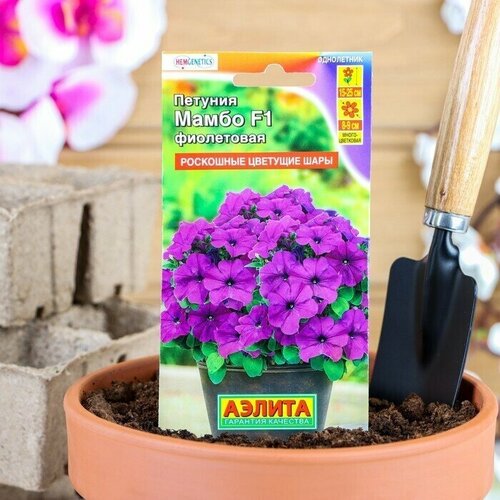 Семена Петуния Мамбо фиолетовая многоцветковая, 7 шт 3 упаковки