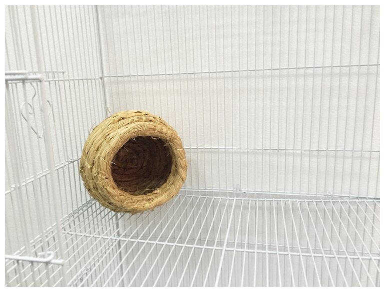 Гнездо для попугаев, Bentfores (11 х 12 х 12 см, 33830) - фотография № 2