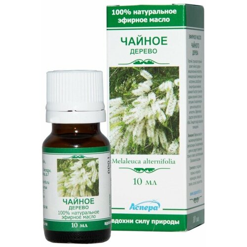 Масло эфирное Аспера Чайное дерево 10ml ПК2301А053 масло эфирное аспера чайное дерево 10ml пк2301а053