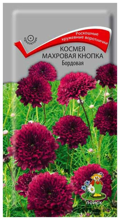 Семена Космея Махровая кнопка Бордовая 01гр