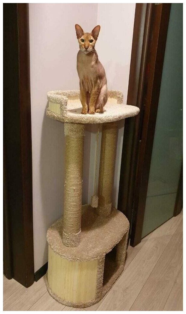 Домик для кошки Котомастер "Бинго" высота 120см., капучино - фотография № 3