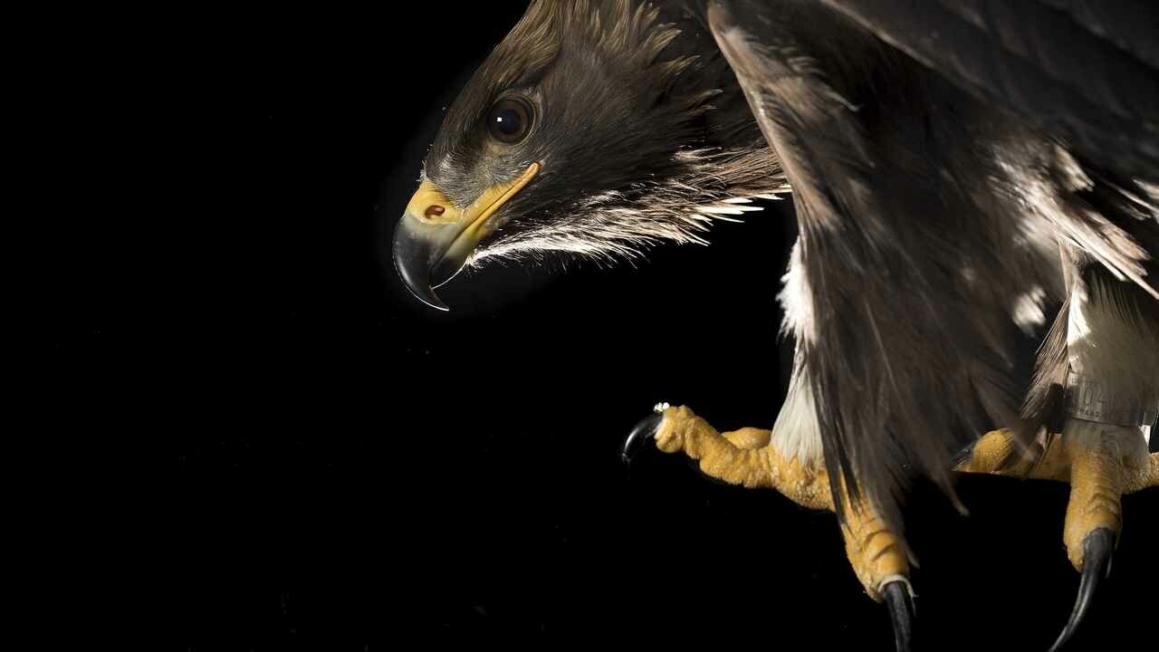 Извинение - YouTube