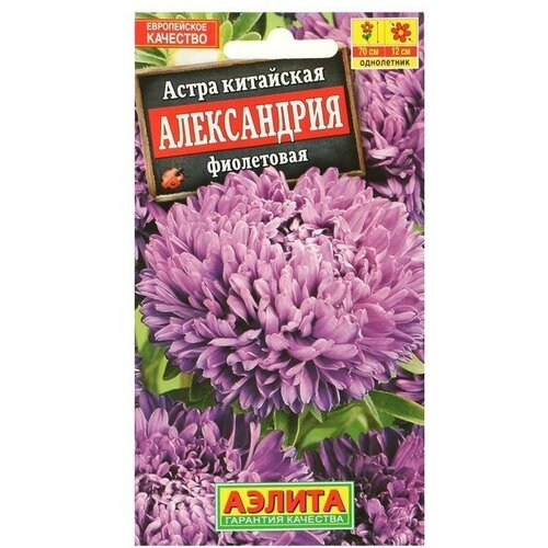 Семена цветов Астра Александрия фиолетовая, О, 0,1 г астра александрия белая семена цветы