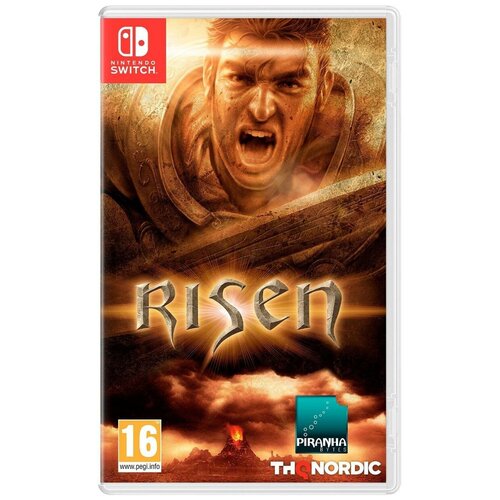 Игра Nintendo Switch - Risen (русская версия) игра wreckfest nintendo switch русская версия