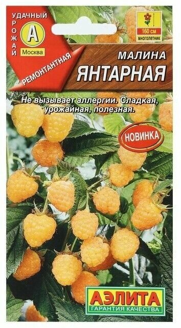 Малина Янтарная (005 г) 2 пакета