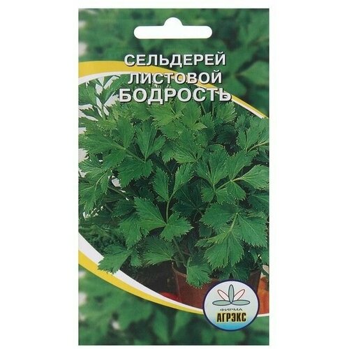 Семена Сельдерей листовой Бодрость, 0,3 г 6 упаковок семена сельдерей листовой афина 0 5 г vita green