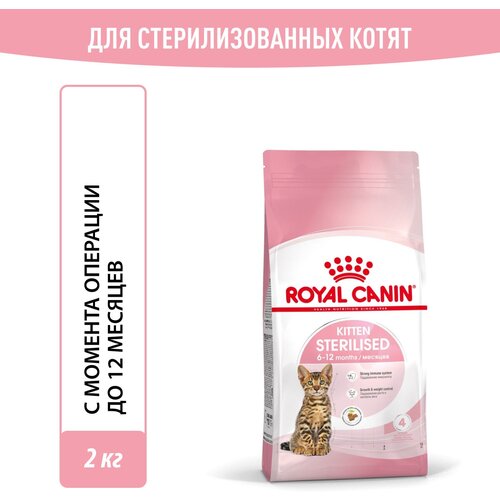 Корм для стерилизованных котят Royal Canin Kitten Sterilised (Киттен Стерилайзд) Корм сухой сбалансированный, 2 кг