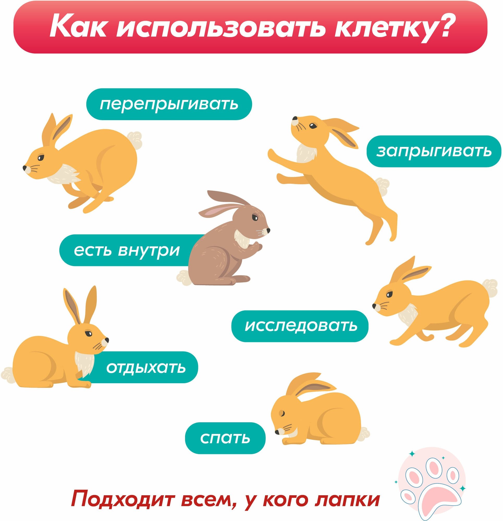 Клетка для грызунов для кроликов "PetTails" ральф, складная, шаг прута 18мм, 80*50*h43см (+миска, 2кормушки) св-сер-черн - фотография № 3