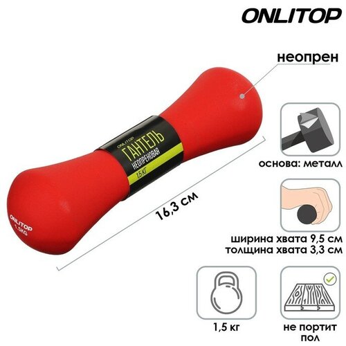 Гантель неопреновая ONLYTOP, 1,5 кг, цвета микс гантель неопреновая 1 кг цвета микс