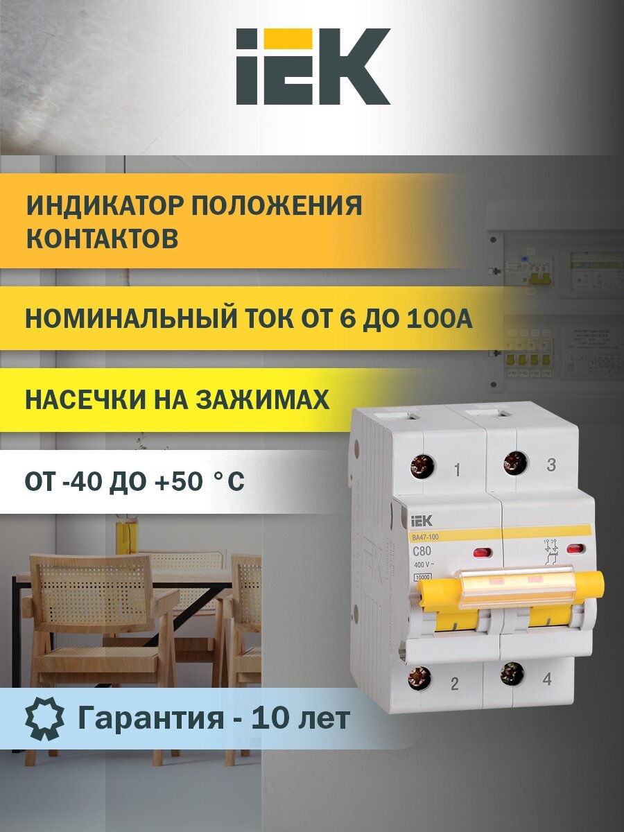 Выключатель автоматический модульный 2п C 80А 10кА ВА47-100 IEK MVA40-2-080-C