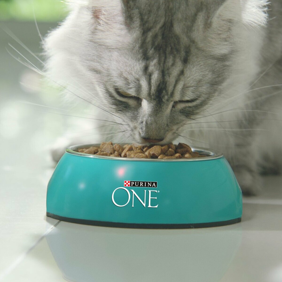 Purina One Сухой корм для домашних кошек с индейкой и злаками, 3 кг - фото №9