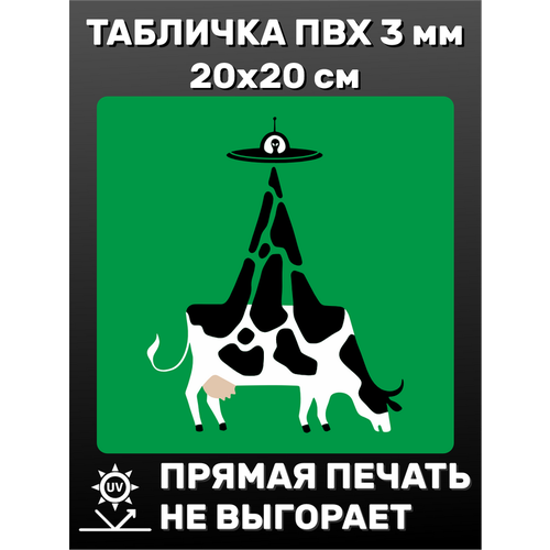 Табличка информационная Инопланетяне 20х20 см табличка информационная спанч боб 20х20 см