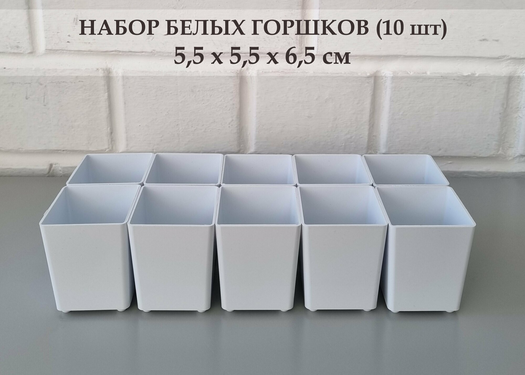 фото Белые квадратные горшки для суккулентов и кактусов