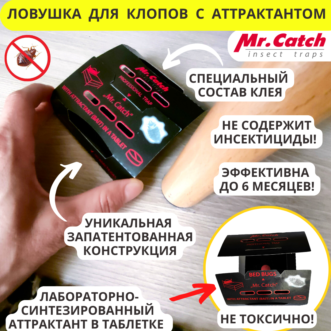 Ловушка для клопов с аттрактантом Mr.Catch (Мистер Кэтч), 2 штуки