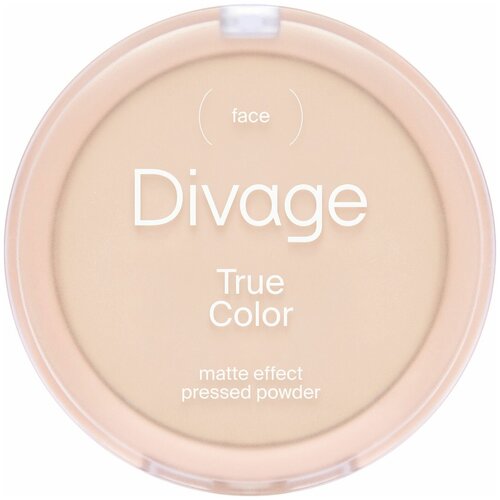 Divage Powder True Color New Пудра компактная, тон № 02, 8 г