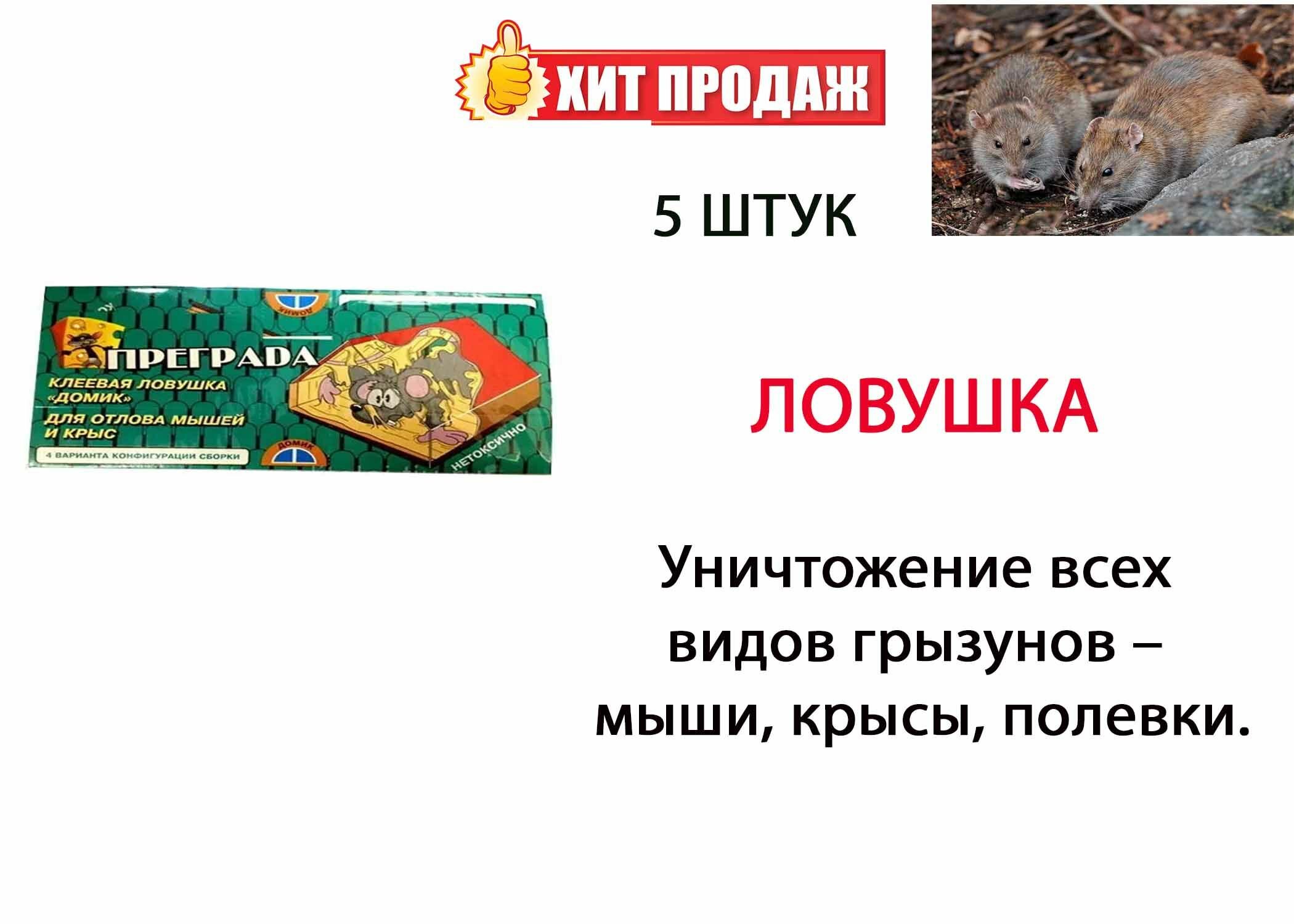 Преграда Клеевая ловушка Домик для грызунов (5 штук) — фото 5