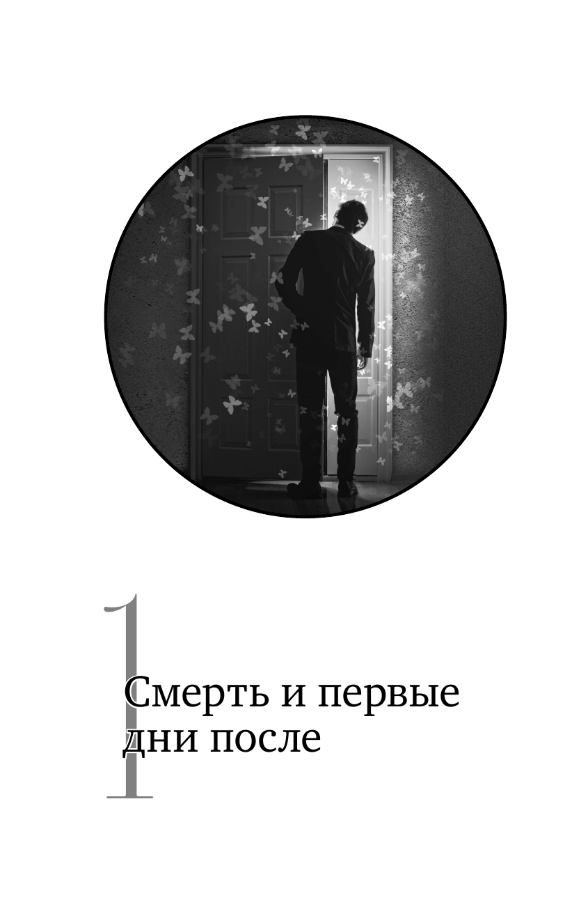 Некрасова Л. Жизнь после смерти. История о том, что нас ждёт между воплощениями - фотография № 10