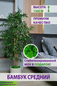 Основная фотография от вендора