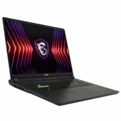 17" Ноутбук MSI Vector 17 HX A14VHG-1014XRU (9S7-17S162-1014) черный - 2560x1600, IPS, Intel Core i9-14900HX, ядра: 24 x 2,2 ГГц, 16 ГБ, SSD 1000 ГБ, NVIDIA GeForce RTX 4080 (12 ГБ), Windows 10 Pro — фото 1