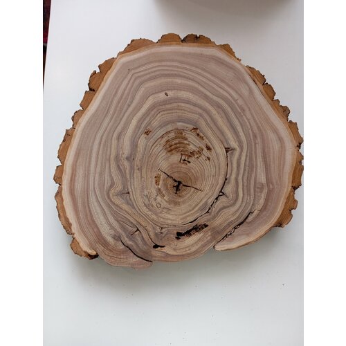 Спил дерева карагач, заготовка для поделок 34/30/4,0см