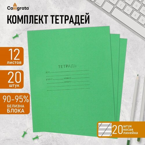 Изображение товара Набор тетрадей 12 листов в косую линейку «Зелёная обложка», белизна 92%, белые листы, 20 шт.