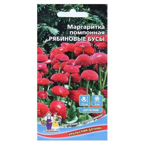 Семена цветов Маргаритка "Рябиновые бусы", 0,03 г .3 уп