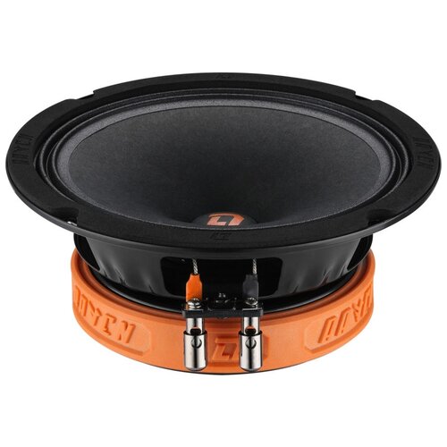 DL Audio Raven 165, 2 колонки, черный