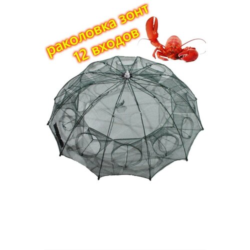 фото Раколовка "зонтик", 12 входов, сетка, складная гормаг