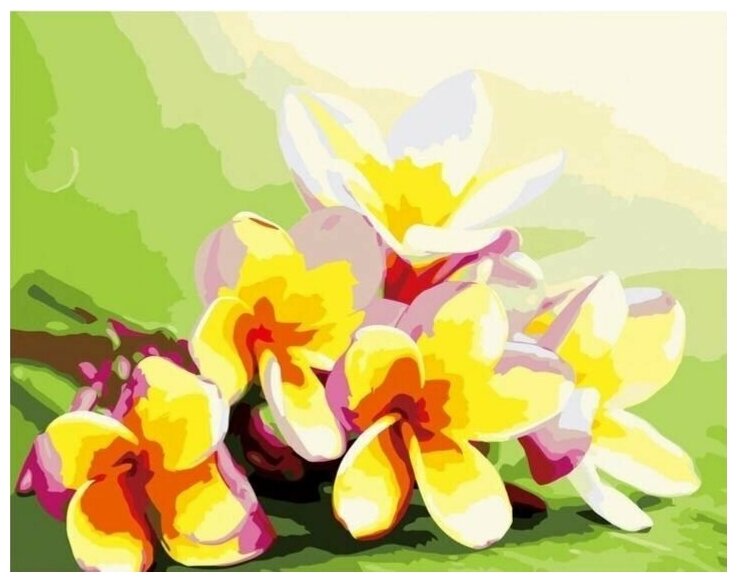 Картина по номерам Colibri "Желтые цветы" холст на подрамнике 40х50 см