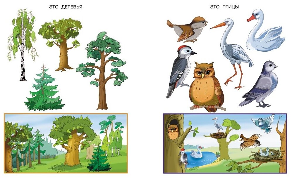 Что нас окружает. Познаем мир. Для детей 2-3 лет - фото №5