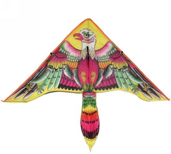 Воздушный змей «Яркий орёл» 110см