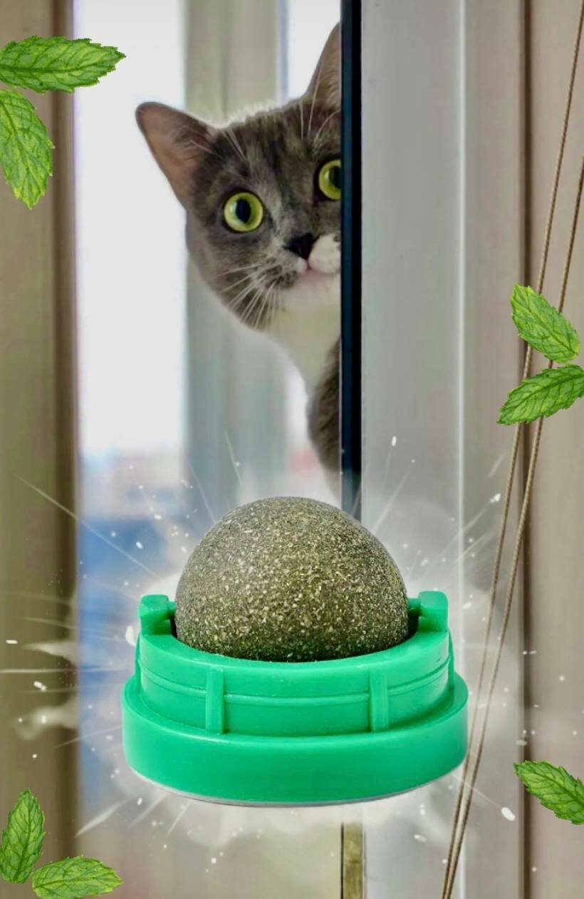 Кошачья мята, вращающийся шарик леденец конфета с кошачьей мятой, мятная игрушка для кошек , лакомство для кошки — фото 1