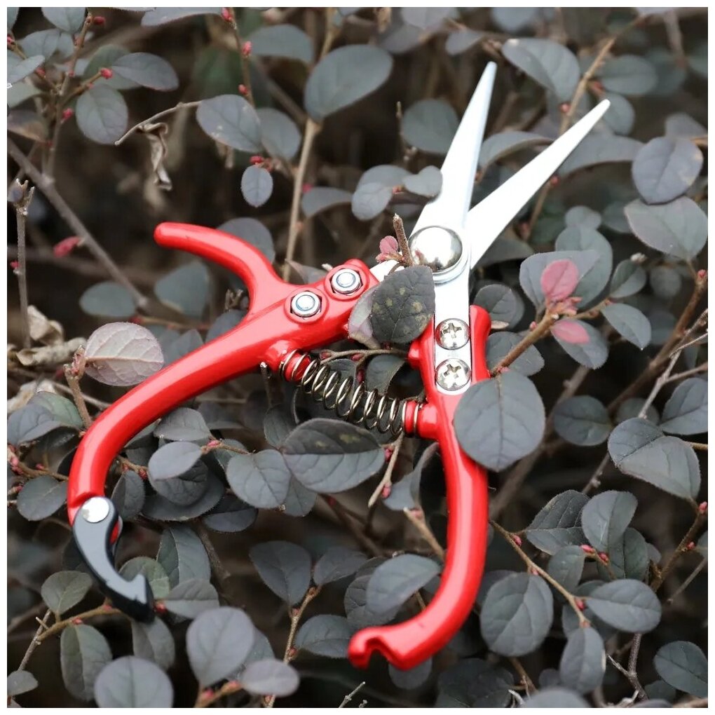 Многофункциональные садовые ножницы 170мм - фотография № 2