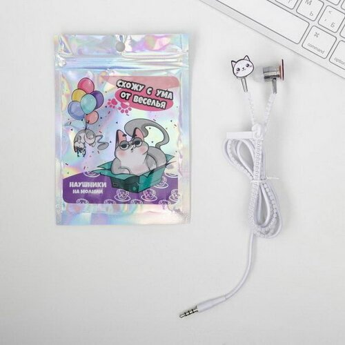 Наушники на молнии Схожу с ума от веселья 10 x 15 см 99000₽
