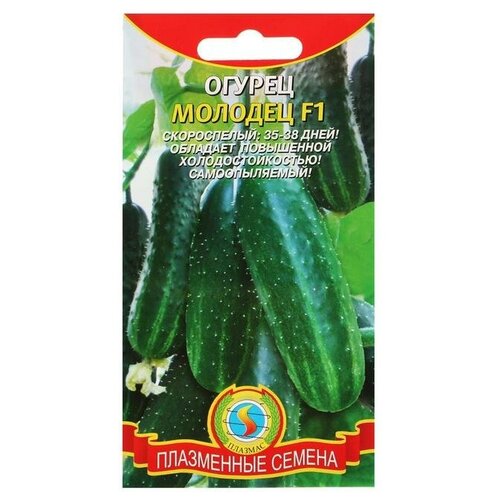 Семена Огурец 