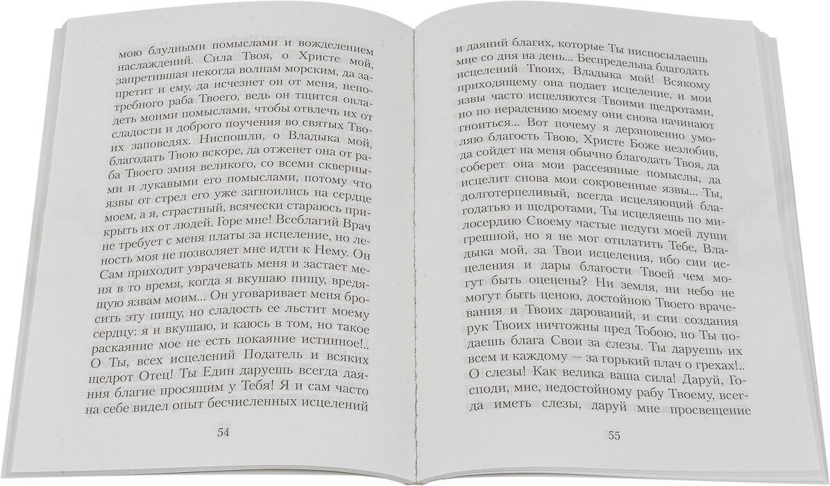 Плач кающегося грешника (Светлова Н. (ред.)) - фото №3
