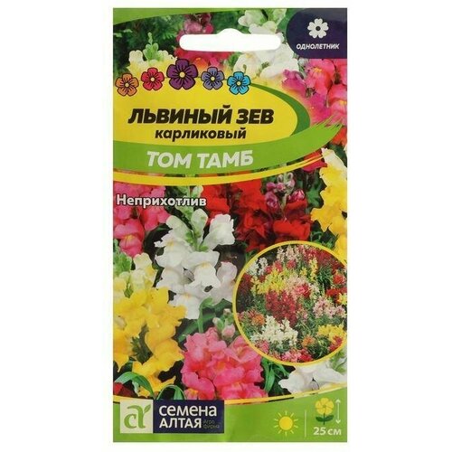 Семена цветов Львиный зев Том Тамб, карликовый 0,1 г 5 упаковок