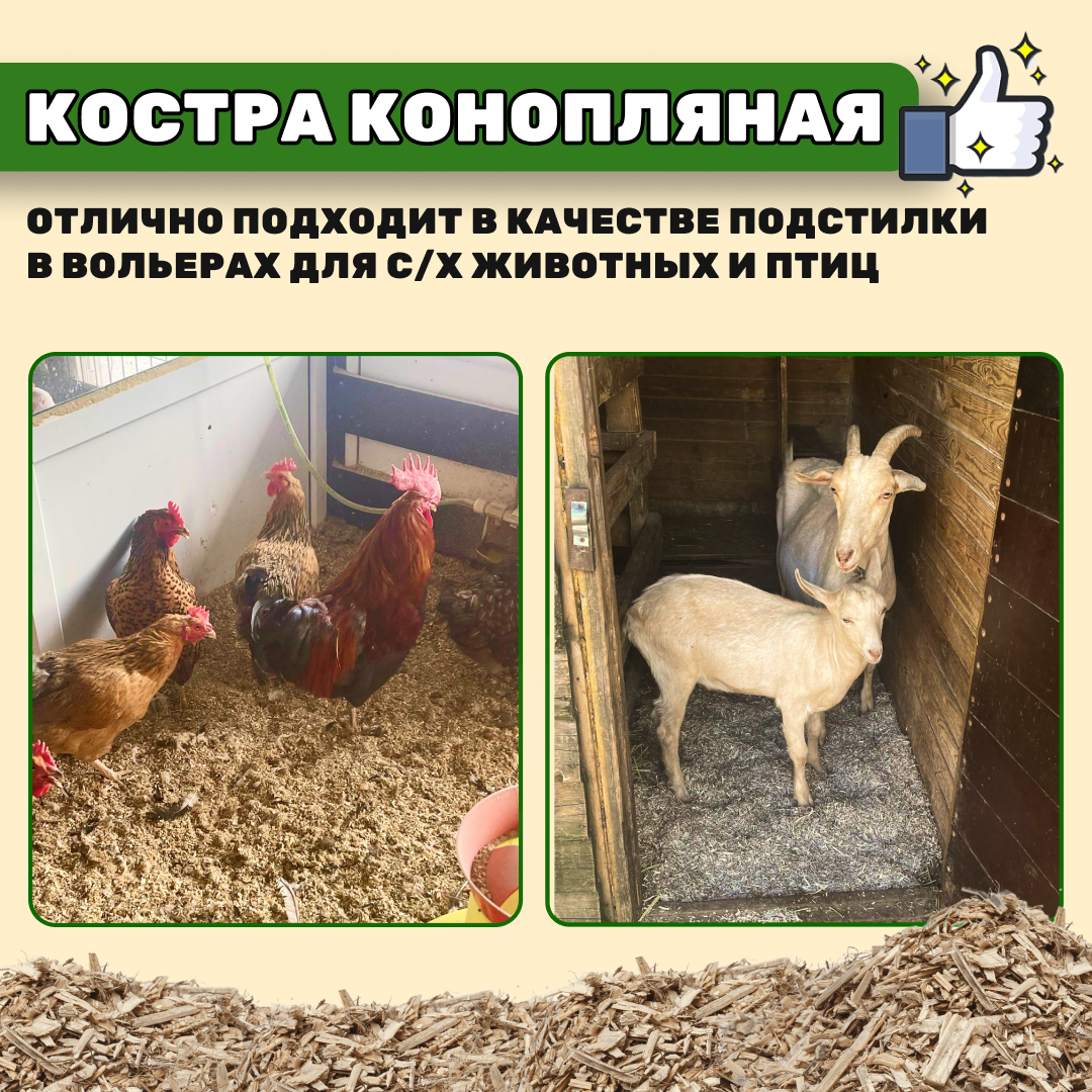 Конопляная костра. Мульча