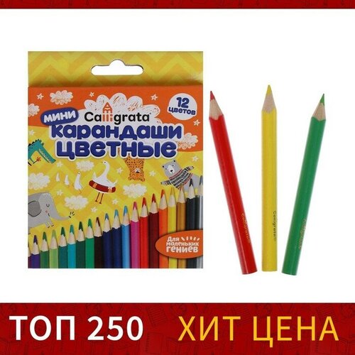 Карандаши цветные 12 цветов мини, корпус деревянный, треугольный карандаши цветные 12 цветов короткие 3